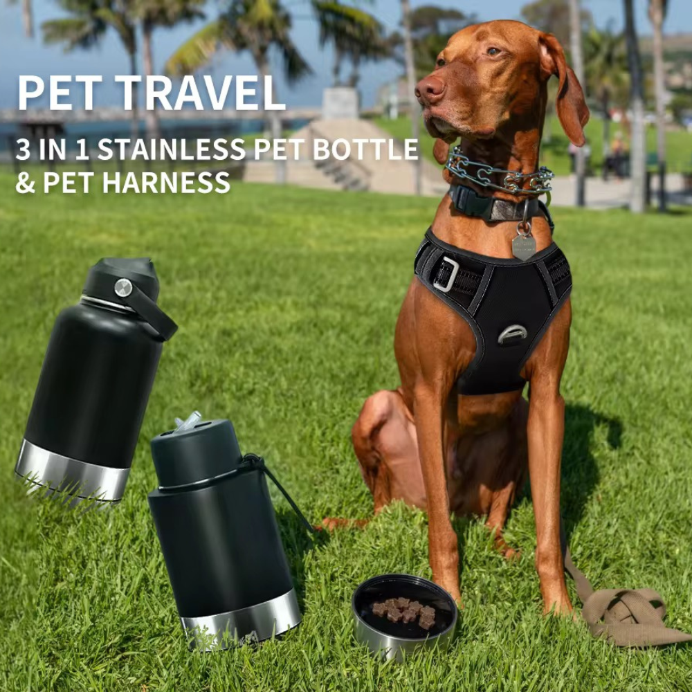 Pet Feeder Travel Bowl Stainless Steel Insulated Water Bottle